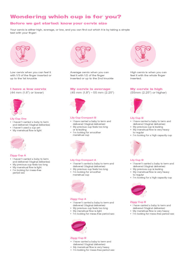 Intimina - Ziggy Cup 2 Menstruation Set